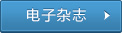 电子杂志
